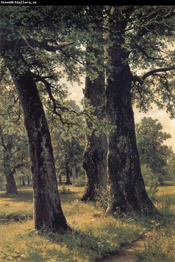 Ivan Shishkin Oak